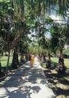 Gardenia Beach Hotel 